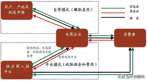 未来5年中国生鲜电商行业发展的预测分析