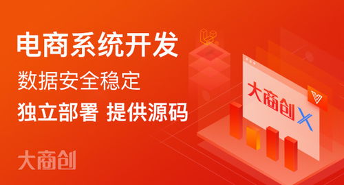 搭建新零售商城系统有哪些步骤