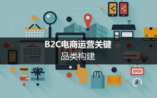 电商运营